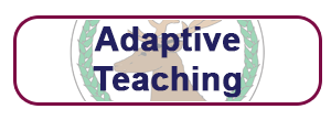 Adaptive Teaching