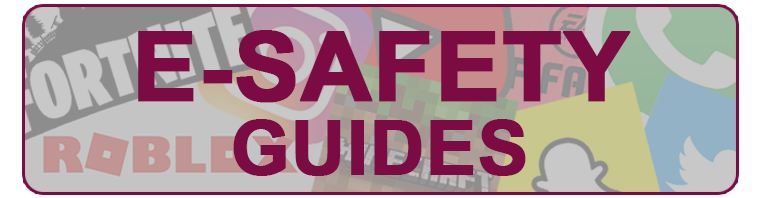 E-Safety Guides